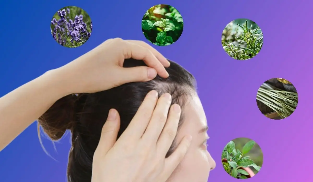 Ingredients Used In Scalp Hair Facials