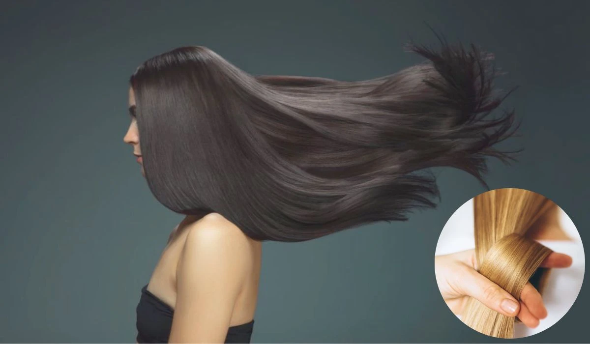 Tips To Improve The Thickness Of The Hair