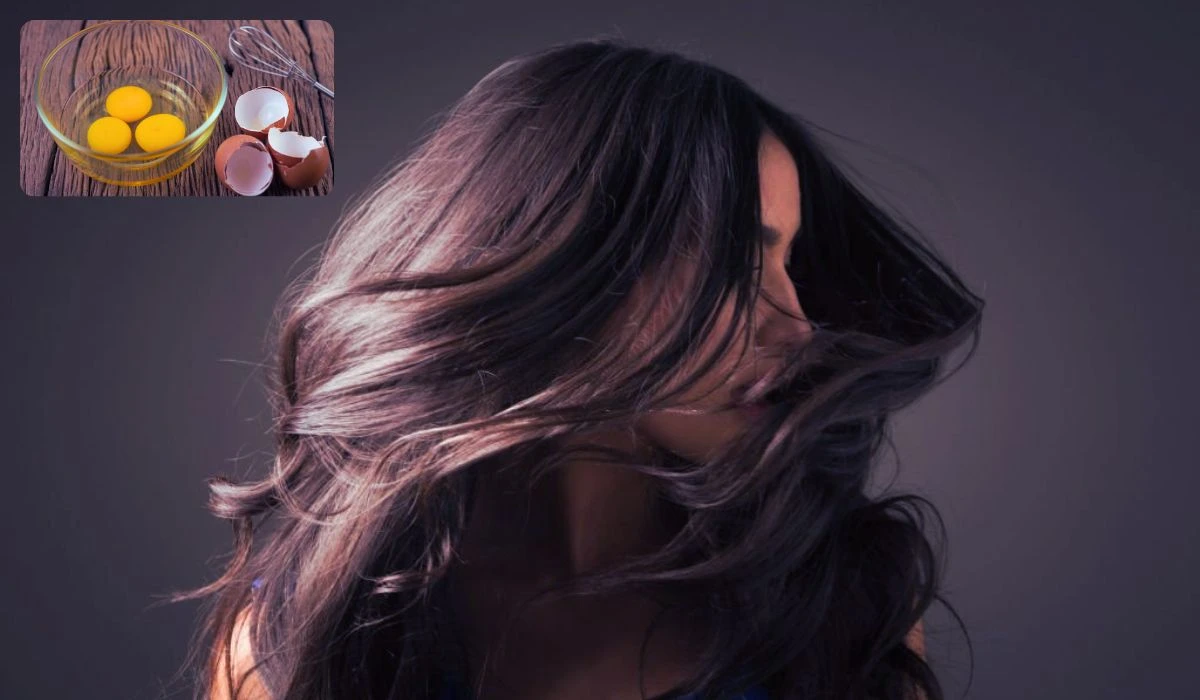 What Are The Benefits Of Egg For Your Hair Transform Your Tresses!