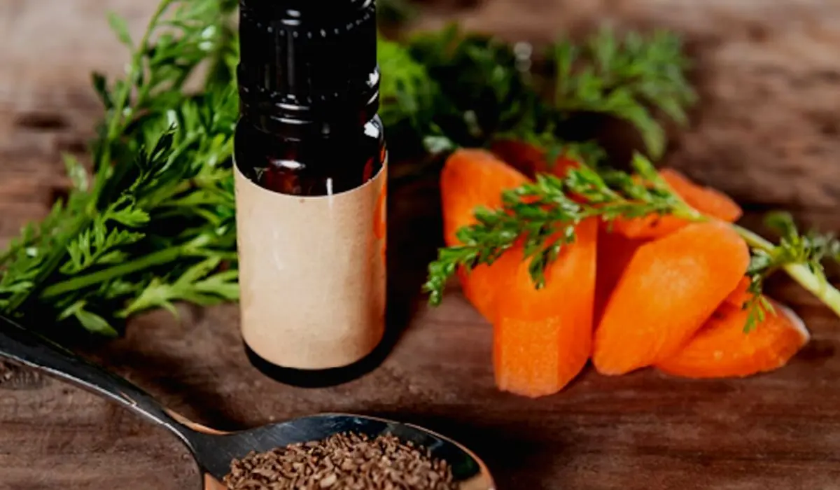 Carrot Seed Oil and Its Uses