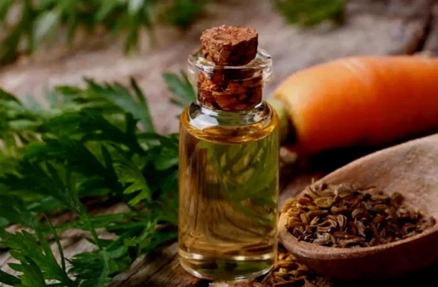 Side Effects Of Carrot Seed Oil On Skin