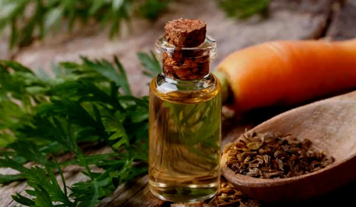 Side Effects Of Carrot Seed Oil On Skin