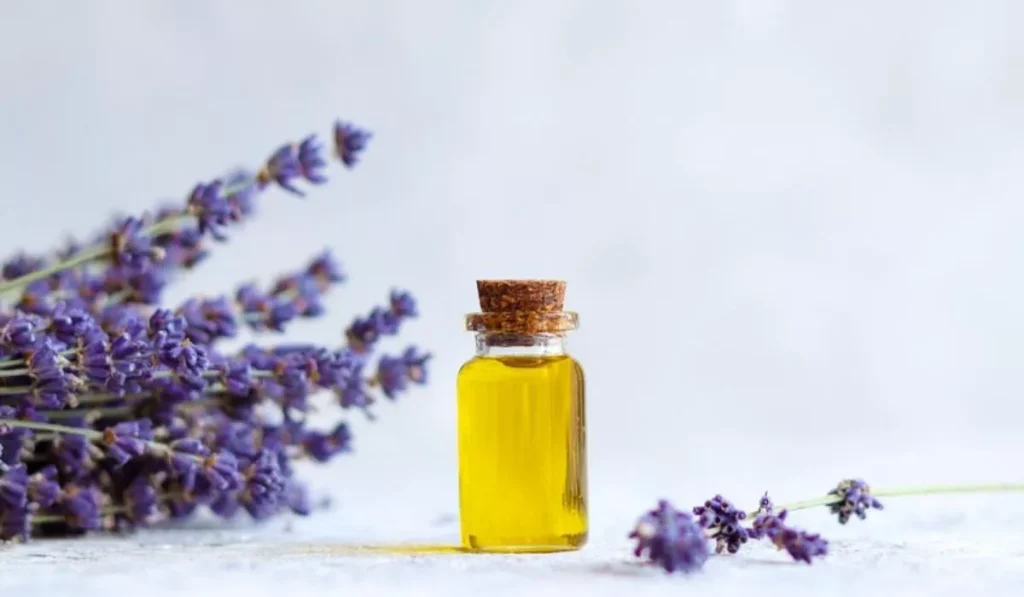 Know About Lavender Oil