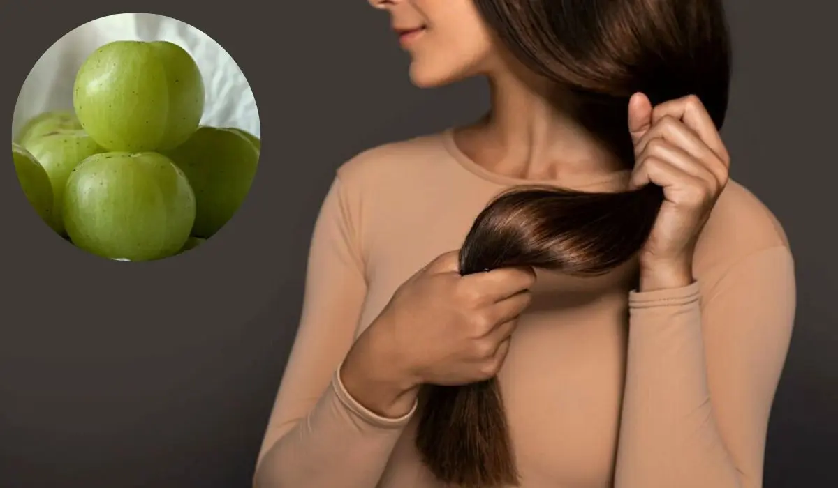 Amla Hair Pack Recipes For Shiny And Lustrous Hair