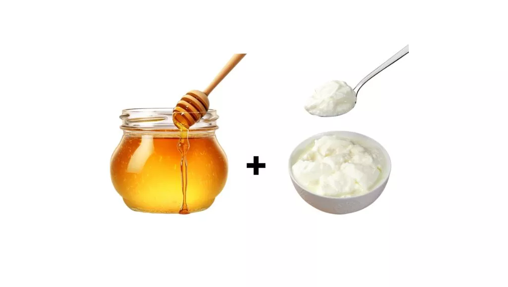 Honey And Yoghurt