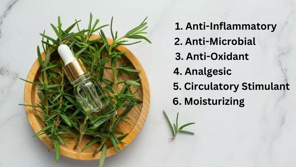 Properties Of Rosemary Oil