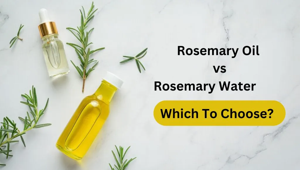 Rosemary Oil vs Rosemary Water