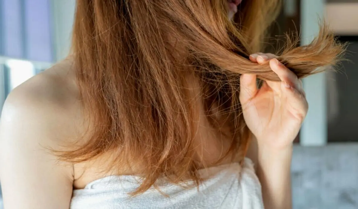 Understanding Textured Hair
