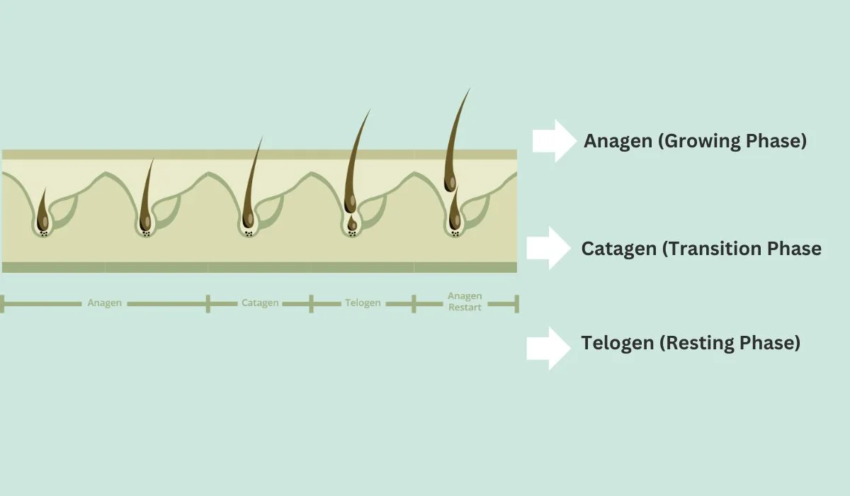 Valotin Working