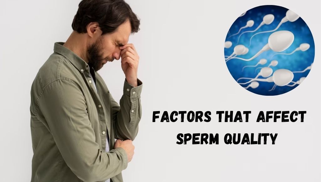 Factors That Affect Sperm Quality