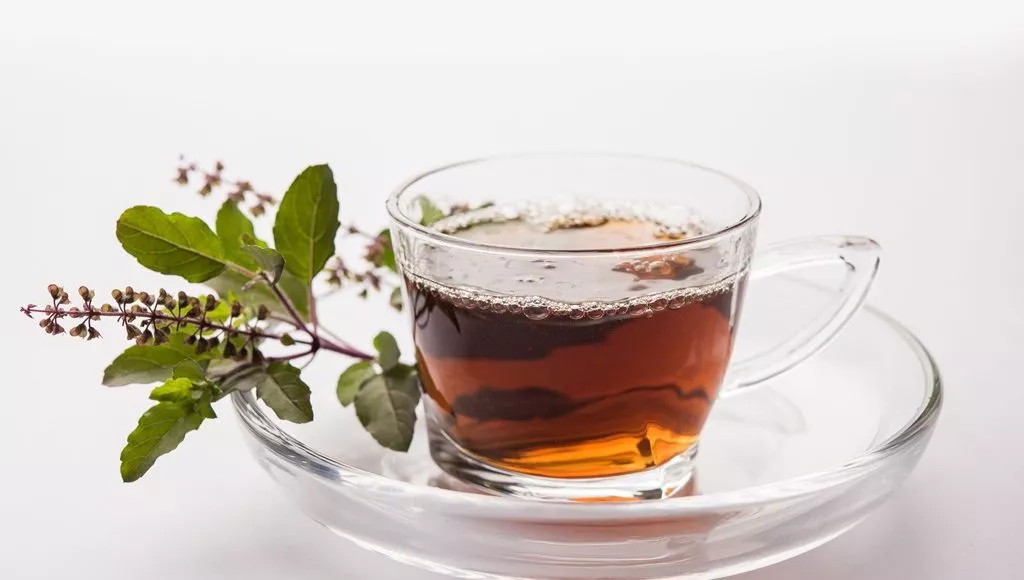 Organic Classic Tulsi Tea 