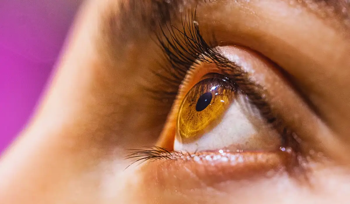 Tips To Maintain Eye Health