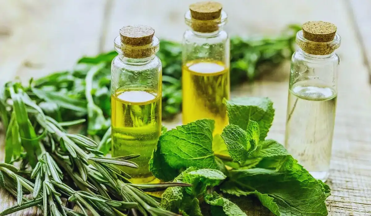 Benefits Of Rosemary Mint Oil