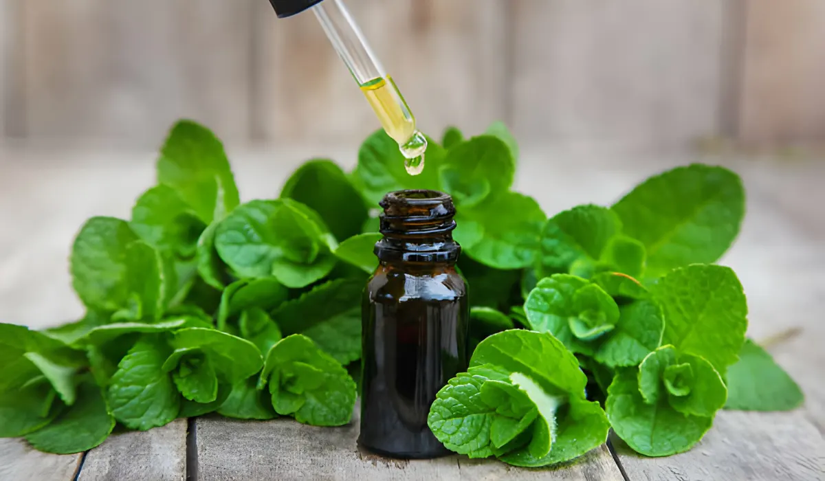 Benefits of peppermint oil for hair