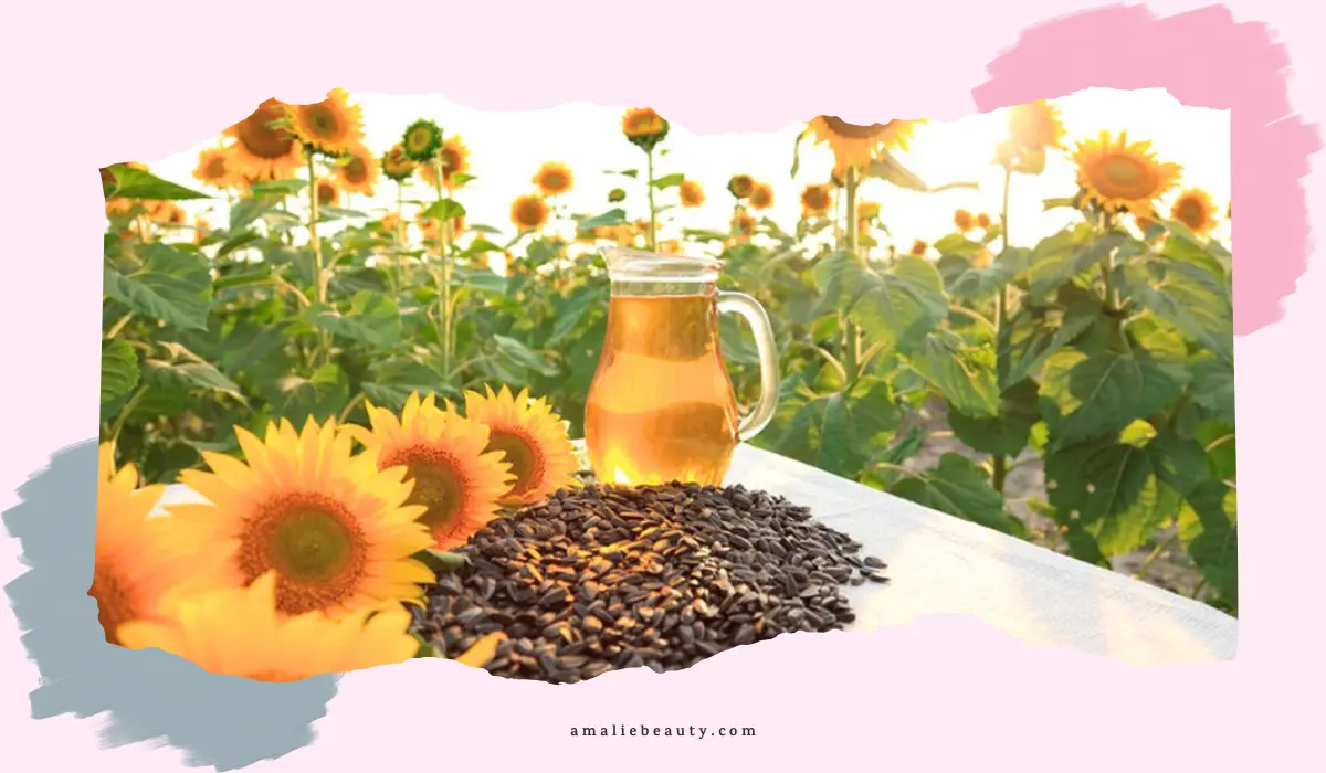 Black Oil Sunflower Seeds Uses