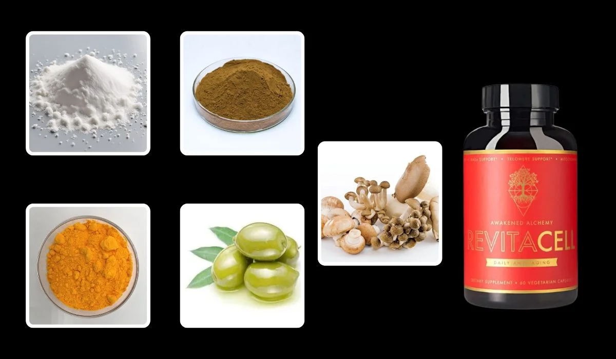 Revitacell Ingredients